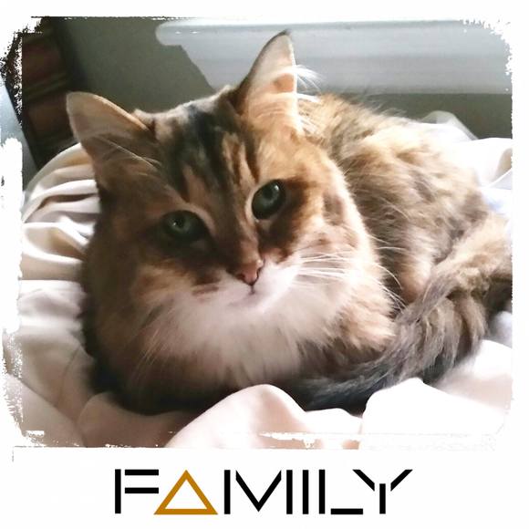 Meet your Posher, Martina - Picture 1 of 1